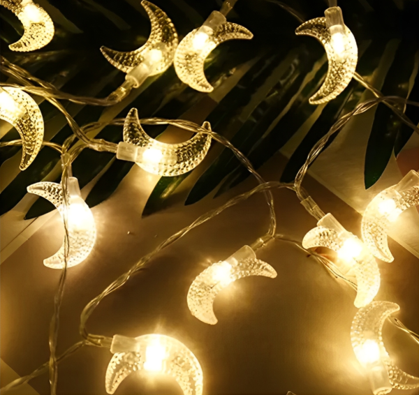 (20) LED Battery Light | Fairy String Lights