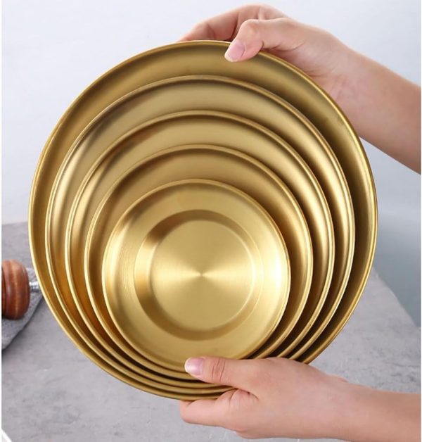 Stainless Steel Dinner Pla (5)